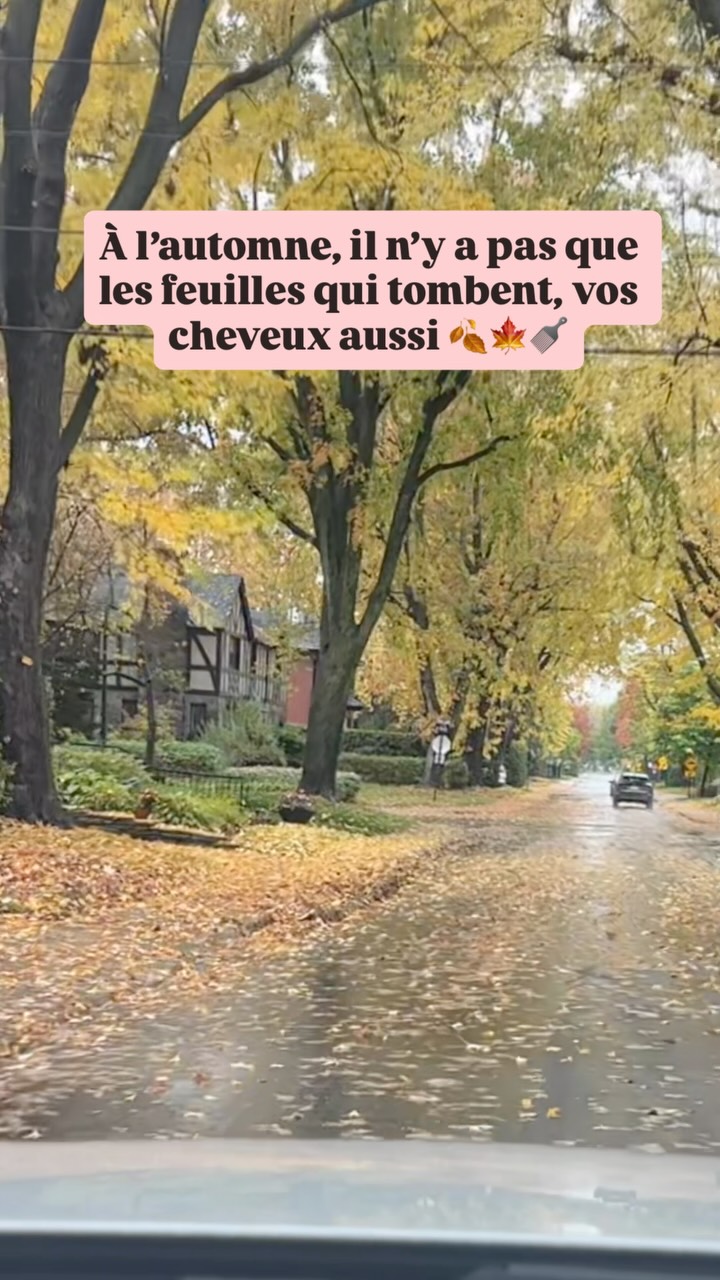 Publication Instagram 2026-10-20_16-22-47_UTC